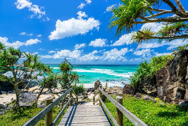 Pandanus and a timber walkway leading down to the beach at Norries Headland, Cabarita